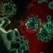 corona-virus-banner