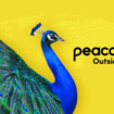 Peacock-US