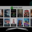 What Is Zoechip The Complete Zoechip Guide