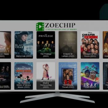 What Is Zoechip The Complete Zoechip Guide