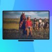 heartland-season-17-on-netflix